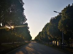 -南湖湿地公园