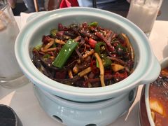炒茶树菇-Colourful Yunnan Hawthorn 彩云南 孔雀