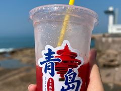 -燕儿岛山公园