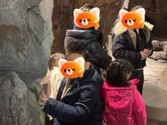 -上海动漫博物馆