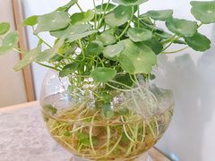 -七力素餐厅(直沽店)