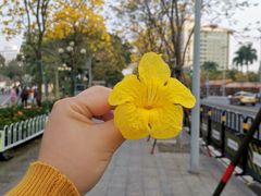 -洲头咀公园