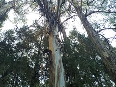 -黑龙潭公园