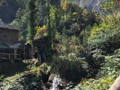 -鹿院坪生态旅游景区
