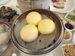 -鸿星海鲜酒家(格兰中心店)