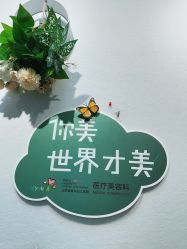 -北京爱育华医院-医疗美容科