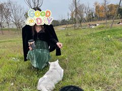 -白鹭湾湿地公园