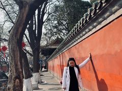 -北京国子监胡同