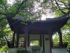 -秋霞圃