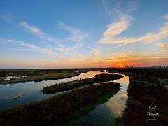 -春花秋色城市公园