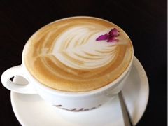 upload_pic-JAMROCK 乐啡意咖啡