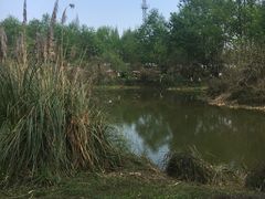 -桤木河湿地公园