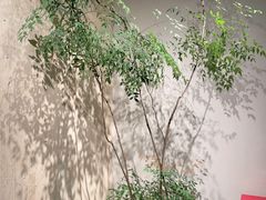 -沅江水·湖南家宴(南村万博长隆商圈店)