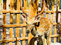 -水上乐园·欢乐世界