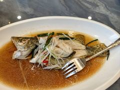 -中国饭店-餐厅