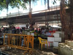 -大湾区中央湿地公园-十九涌