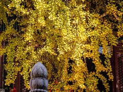 -宝通禅寺