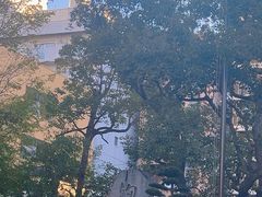 -难波八坂神社