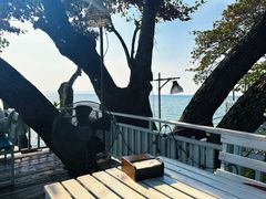 -卷心菜和避孕套餐厅(Pattaya)