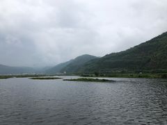-腾冲北海湿地