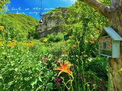 -幽岚山·童话森林