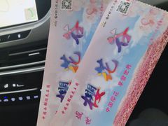 -绵阳盛世樱花悠乐谷