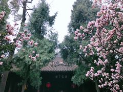 -成都武侯祠博物馆