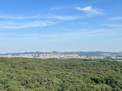 -灵谷景区