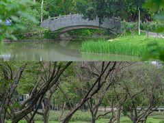 -人民公园(罗湖区)