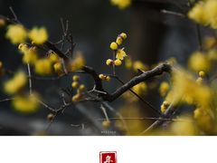 -山东师范大学(千佛山校区)