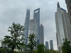 -上海市东方医院(总院)