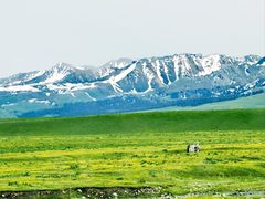 -新疆那拉提国家旅游度假区