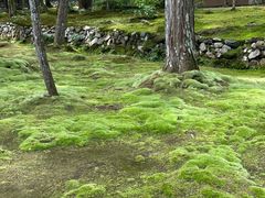 -西芳寺(苔寺)