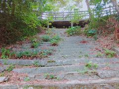 -广州市流溪河国家森林公园