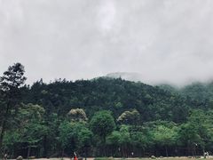 -姑婆山旅游区