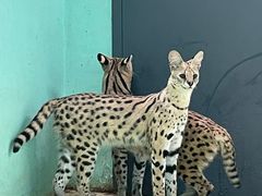 -北京野生动物园