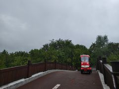 -黄海国家森林公园