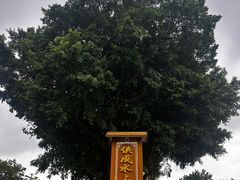 -侠成水上农庄(工业大道店)