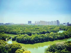 -淹城春秋乐园