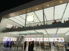 -Apple零售店(成都太古里店)