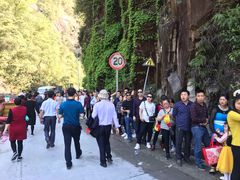 -九龙江国家森林公园