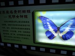 -上海昆虫博物馆