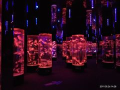 -成都浩海立方海洋公园