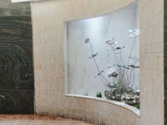 -阿五黄河大鲤鱼(纬三路店)