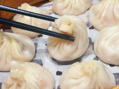 -莱莱小笼·乔艾