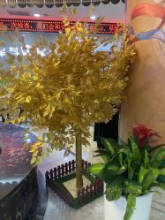 -重庆军科整形美容医院