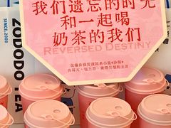-岭南站NOVA