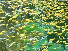 -合肥海洋世界