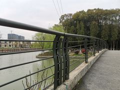 -九科绿洲