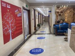 -碧莲盛·不剃发植发